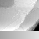 01061000AN