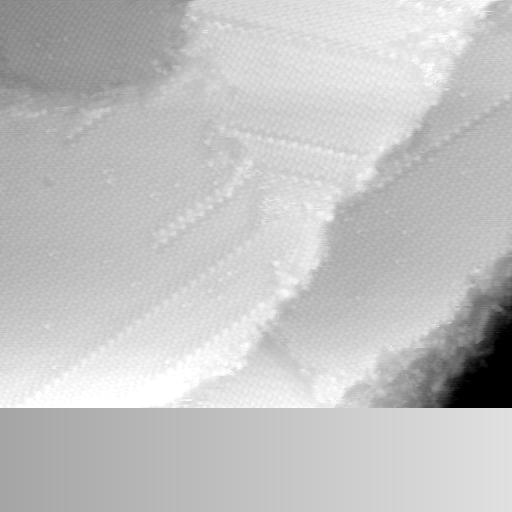 01061000AN