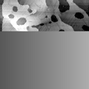01061000AP