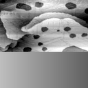 01061000BA