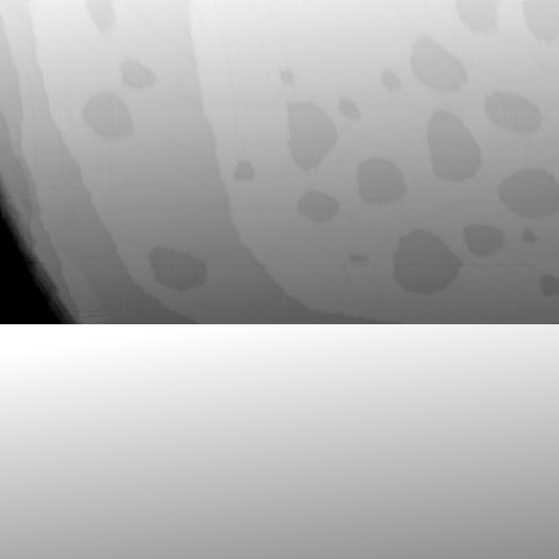 01061000BG