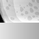 01061000BG