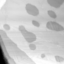 01061000BI