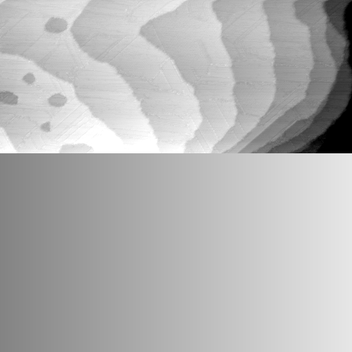 01061000BN