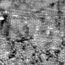 011504BZ