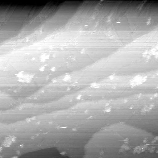 02020600AD
