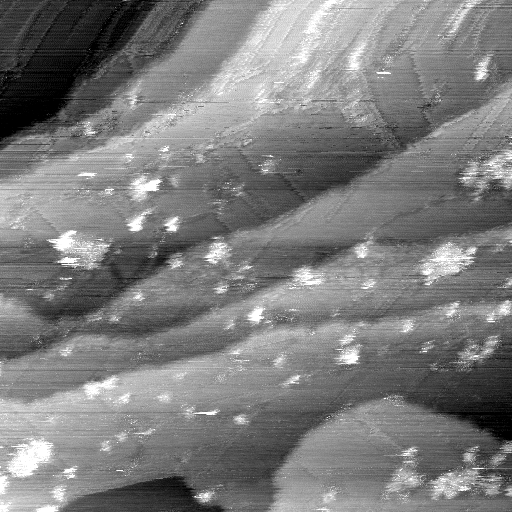 02020600AD
