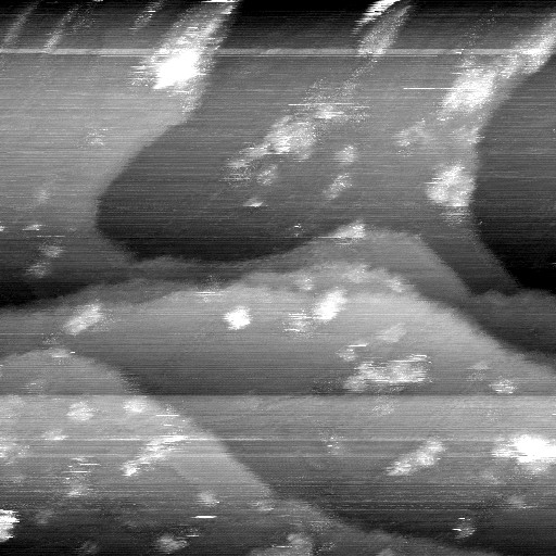 02020600AF