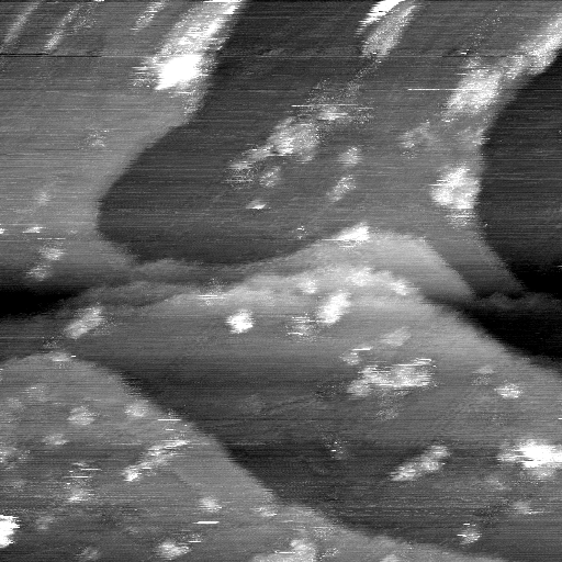 02020600AF