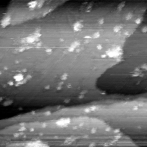 02020600AG