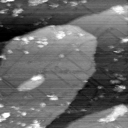 02020600AH