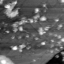 02020600AI