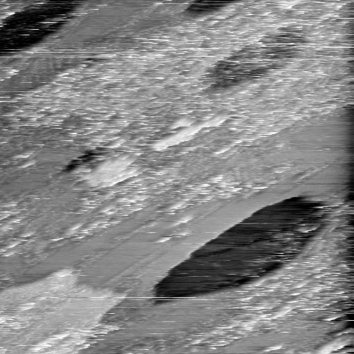 02020600AU