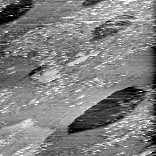 02020600AU