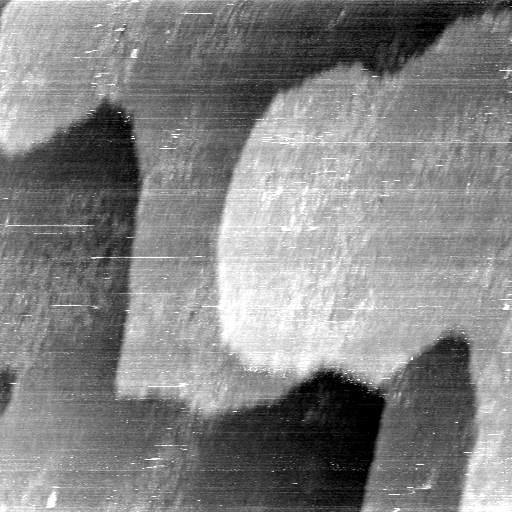 02020600BG
