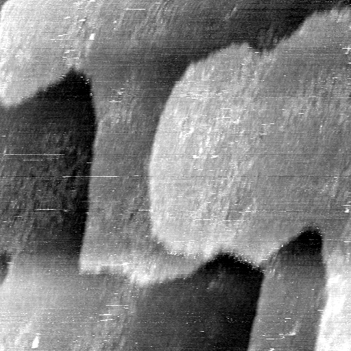 02020600BG