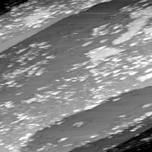 02020600BK