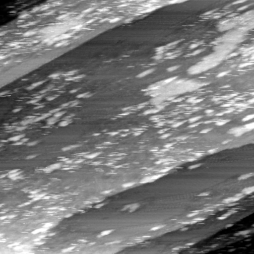 02020600BK
