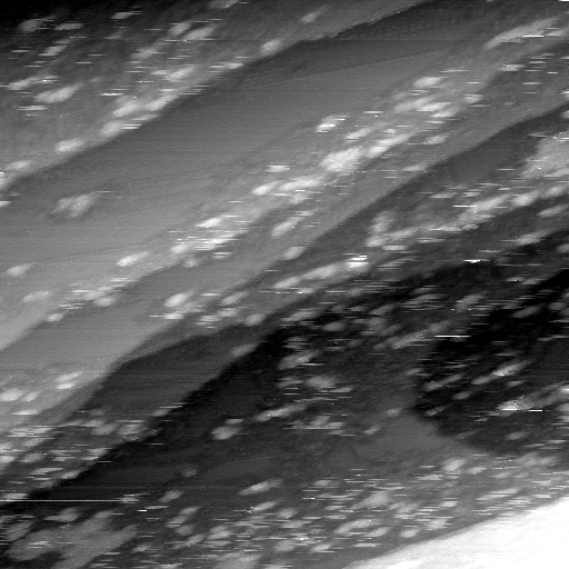 02020600BN