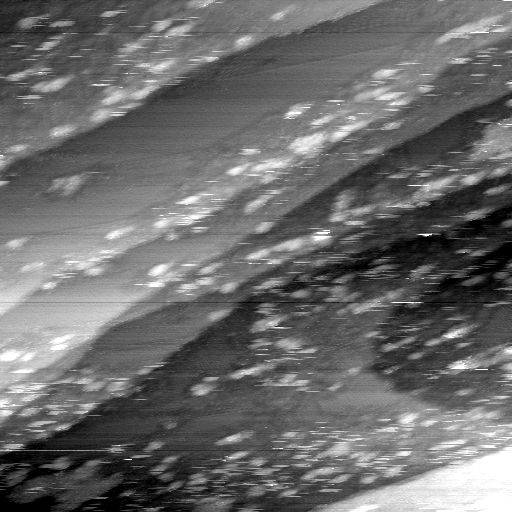 02020600BN