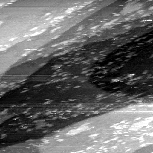 02020600BO
