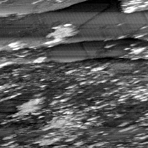 02020600BR