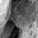 02020600CM