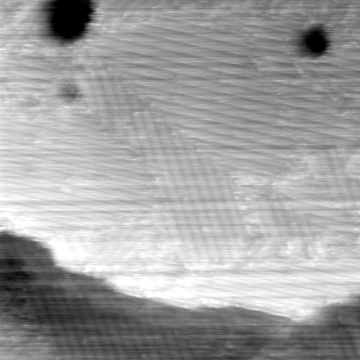 022206BW