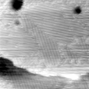 022206BW