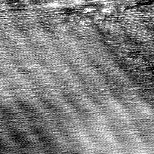 03061302AP