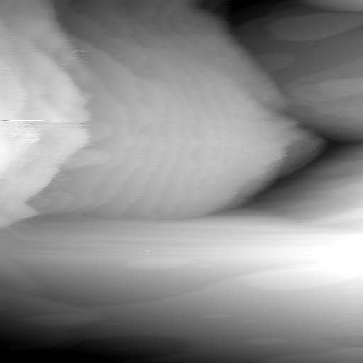 03061302AR