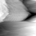 03061302AR