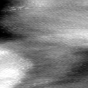 03061302BP