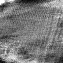 03061302BT