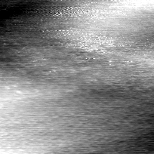 03061302BZ