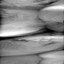 03071302AR