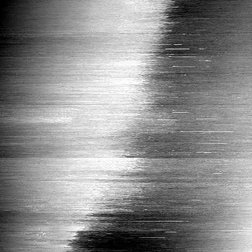 03081000AL