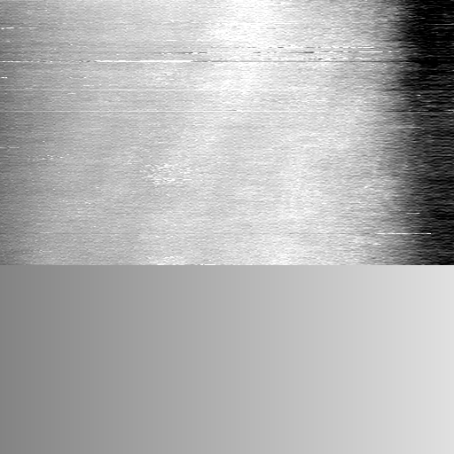 03081000AN