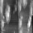 03081000AS