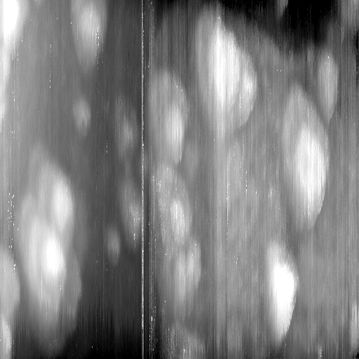 03081000AV