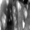 03081000AV
