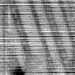 032405CP