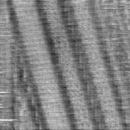 032405DW