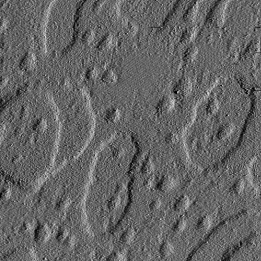 03241302AD