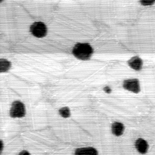 040306AG