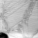 040306AT