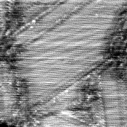 040306BM