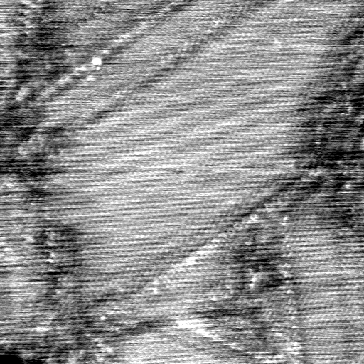 040306BM