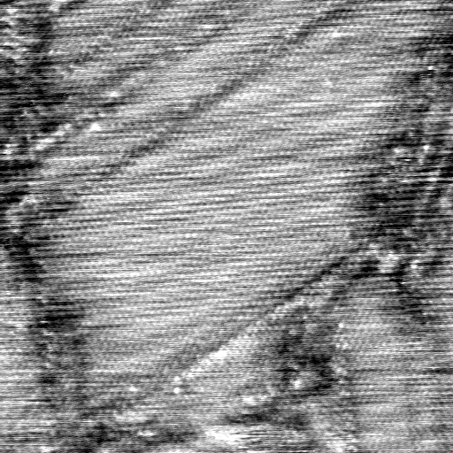 040306BS