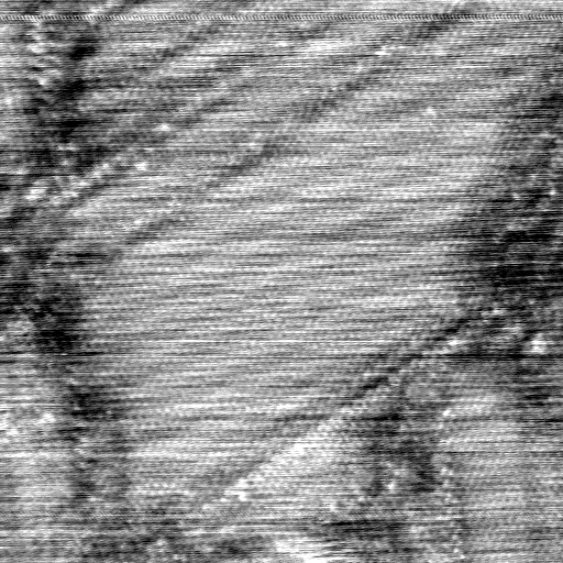 040306BW